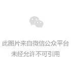 雷火竞技电竞网站